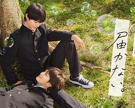 情欲狂欢电影海报剧照