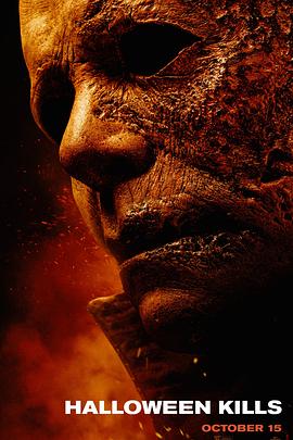 正品蓝导航视频海报剧照